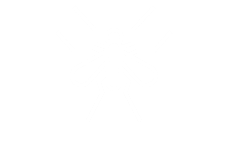 Kokořínský komár